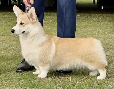 Coventry Love Explosion