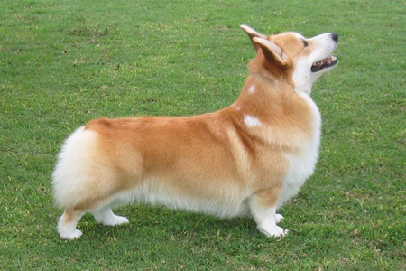 Image Broken