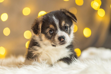 Dark Mind Flayer vom Weinbergschlösschen
