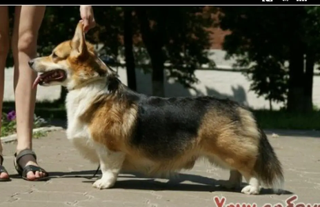 Doksborn Nochnoe Nebo Uel'sa