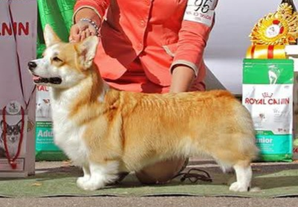 Dwynella Gimme That Look
