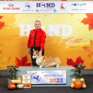 Felicitas Bob Vom Massenbachtal