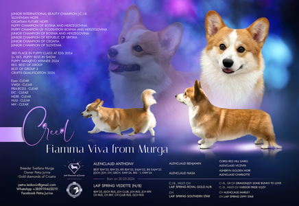 Fiamma Viva from Murga