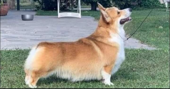 Image Broken