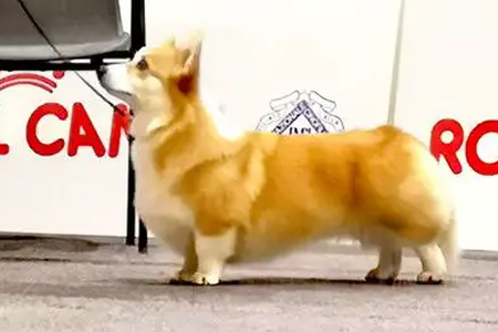 Image Broken