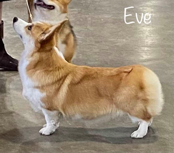 Image Broken