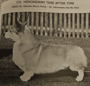 Heronsway Time After Time