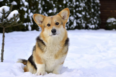 Hit The Spot Lavish Soul