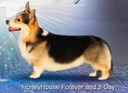 Honeyhouse Forever And A Day