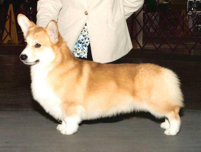 Image Broken