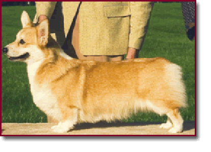 Image Broken