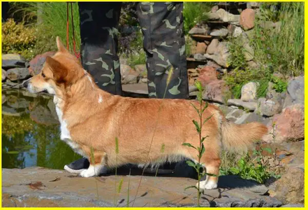 Image Broken