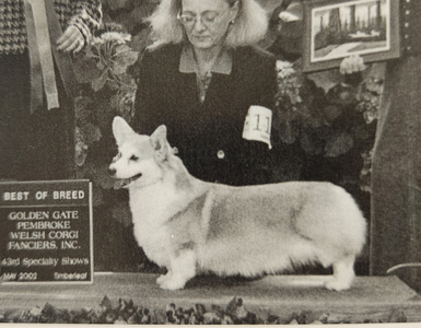 Kingscote Woodbine Alibi