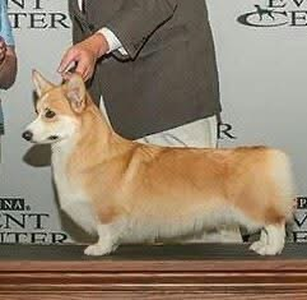 Image Broken