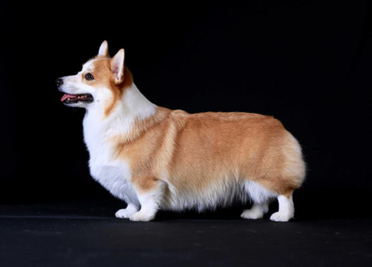Image Broken