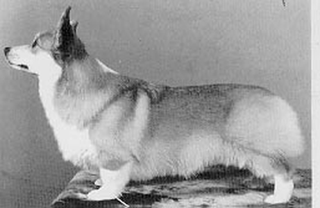 Llyswen Break Every Rule