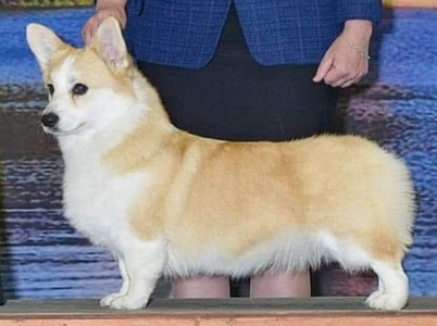 Image Broken