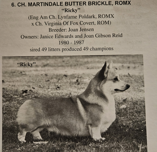 Martindale Butter Brickle
