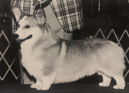 Master Major Of Millerhof