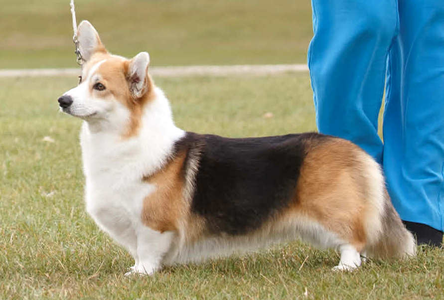 Merthyr As Time Goes By