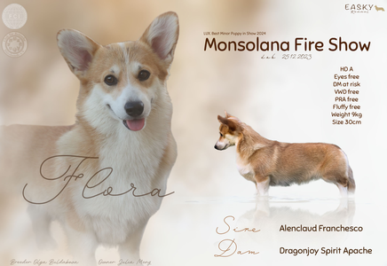 Monsolana Fire Show