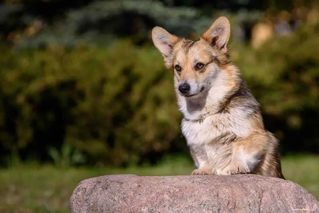 Night Keepish Ejovaja Rukavichka