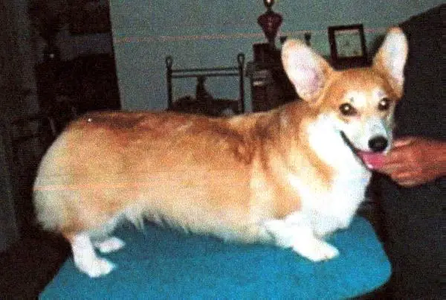 Image Broken
