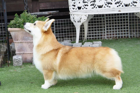 Image Broken