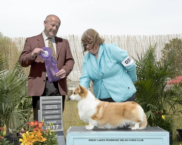 Ravinel Clair De Lune