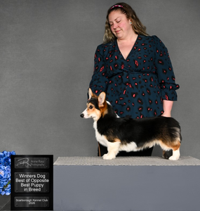 Ravinel The Huntsman vom Hüttenland