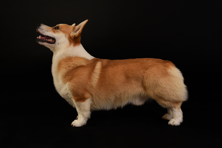 Right Hunter Sweet November