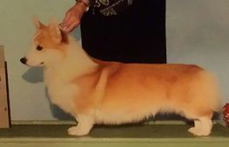 Riverrun's Perfect Lover