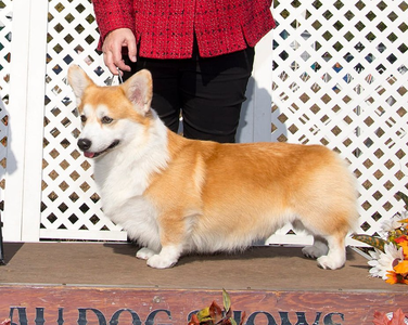 Riverside Storm Surge