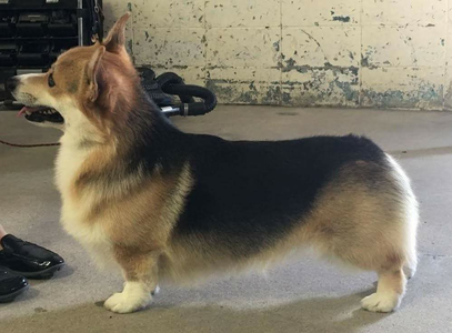 Riveruns Dream Weaver