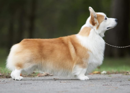 Riverun's Heart Land