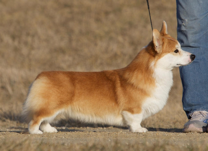 Riverun's Keeper Of The Flame