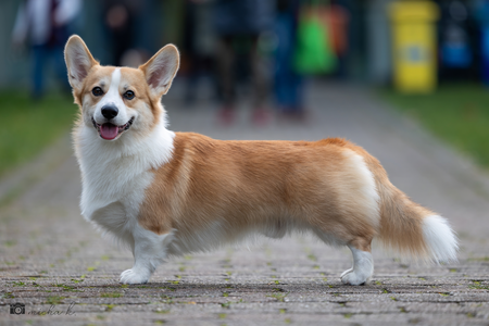 Rock My vom Massenbachtal