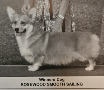 Rosewood Smooth Sailing
