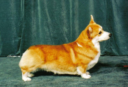 Image Broken