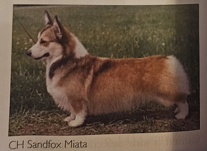 Sandfox Miata