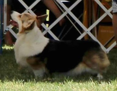 Image Broken
