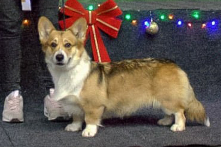 Image Broken