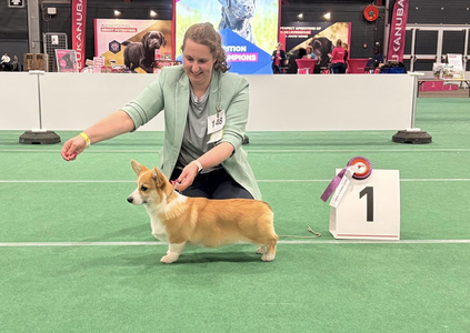 Siggen's Coco Chanel av Chilja