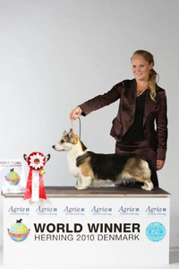 Siggen's Uptown Girl