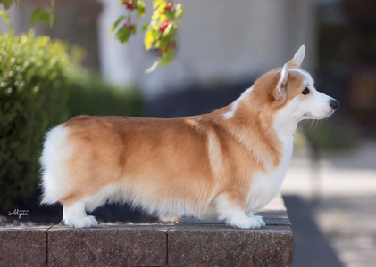 Stonecroft's Sea Scape