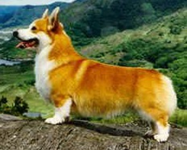 Stonecroft's Second Stage