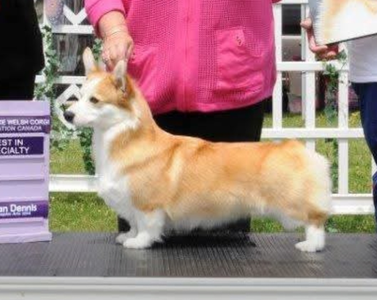 Stonecroft's Star Sighting