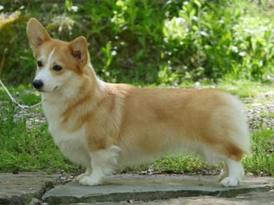 Sua Mah Life's A Beach