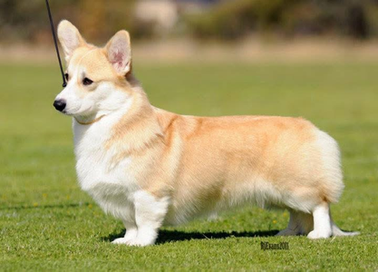 Trehilyn Sweet Nothings