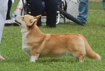 Image Broken